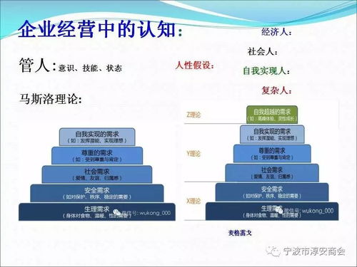 工藝美術(shù)設(shè)計(jì)企業(yè)管理經(jīng)驗(yàn)分享